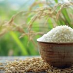 Ngày 20/7: Giá lúa gạo tại Đồng bằng sông Cửu Long bình ổn sáng đầu tuần