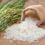 Ngày 24/10: Giá Lúa Gạo Đồng Bằng Sông Cửu Long Ổn Định, Thị Trường Xuất Khẩu Duy Trì Mức Giá