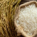 Ngày 25/10: Giá Lúa Gạo Tại Đồng Bằng Sông Cửu Long Đi Ngang